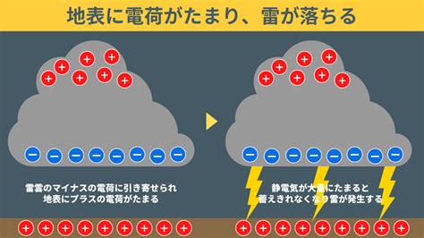 雷電雨|雷とは？